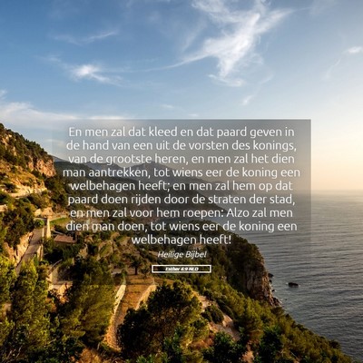 Picture 05 - Esther 6:9 NLD - En men zal dat kleed en dat paard geven in de - Bible Verse Picture