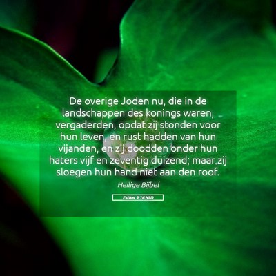 Picture 05 - Esther 9:16 NLD - De overige Joden nu, die in de landschappen des - Bible Verse Picture