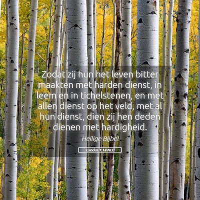 Picture 05 - Exodus 1:14 NLD - Zodat zij hun het leven bitter maakten met harden - Bible Verse Picture