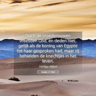 Picture 05 - Exodus 1:17 NLD - Doch de vroedvrouwen vreesden God, en deden niet, - Bible Verse Picture