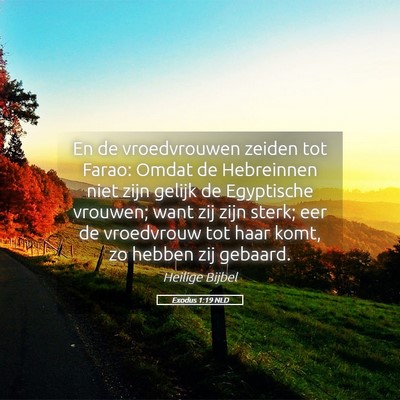 Picture 05 - Exodus 1:19 NLD - En de vroedvrouwen zeiden tot Farao: Omdat de - Bible Verse Picture