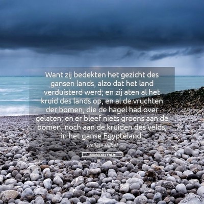 Picture 05 - Exodus 10:15 NLD - Want zij bedekten het gezicht des gansen lands, - Bible Verse Picture