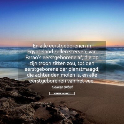 Picture 05 - Exodus 11:5 NLD - En alle eerstgeborenen in Egypteland zullen - Bible Verse Picture