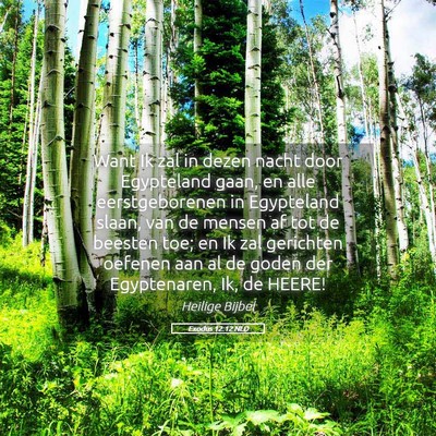 Picture 05 - Exodus 12:12 NLD - Want Ik zal in dezen nacht door Egypteland gaan, - Bible Verse Picture