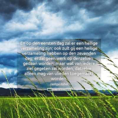 Picture 05 - Exodus 12:16 NLD - En op den eersten dag zal er een heilige - Bible Verse Picture