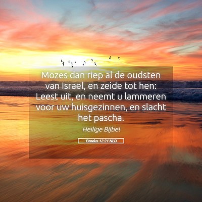 Picture 05 - Exodus 12:21 NLD - Mozes dan riep al de oudsten van Israel, en zeide - Bible Verse Picture