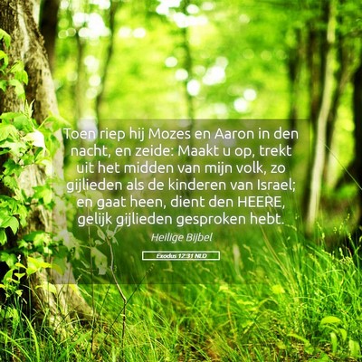 Picture 05 - Exodus 12:31 NLD - Toen riep hij Mozes en Aaron in den nacht, en - Bible Verse Picture
