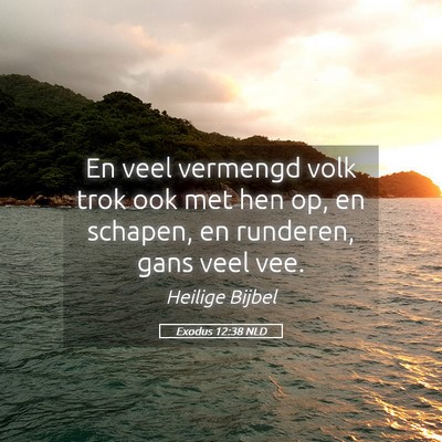 Picture 05 - Exodus 12:38 NLD - En veel vermengd volk trok ook met hen op, en - Bible Verse Picture