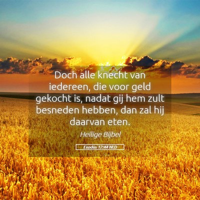 Picture 05 - Exodus 12:44 NLD - Doch alle knecht van iedereen, die voor geld - Bible Verse Picture