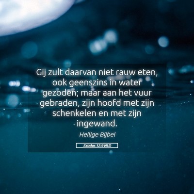Picture 05 - Exodus 12:9 NLD - Gij zult daarvan niet rauw eten, ook geenszins in - Bible Verse Picture