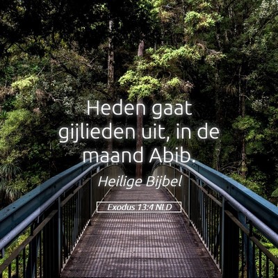Picture 05 - Exodus 13:4 NLD - Heden gaat gijlieden uit, in de maand - Bible Verse Picture
