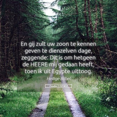 Picture 05 - Exodus 13:8 NLD - En gij zult uw zoon te kennen geven te dienzelven - Bible Verse Picture