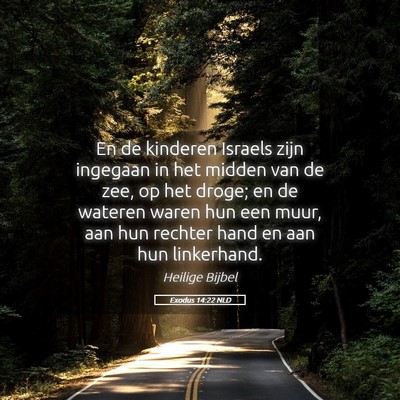Picture 05 - Exodus 14:22 NLD - En de kinderen Israels zijn ingegaan in het - Bible Verse Picture