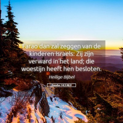Picture 05 - Exodus 14:3 NLD - Farao dan zal zeggen van de kinderen Israels: Zij - Bible Verse Picture