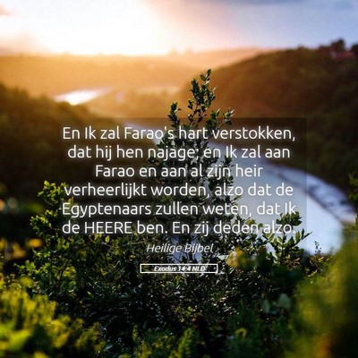 Picture 05 - Exodus 14:4 NLD - En Ik zal Farao's hart verstokken, dat hij hen - Bible Verse Picture