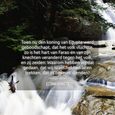Picture 05 - Exodus 14:5 NLD - Toen nu den koning van Egypte werd geboodschapt, - Bible Verse Picture