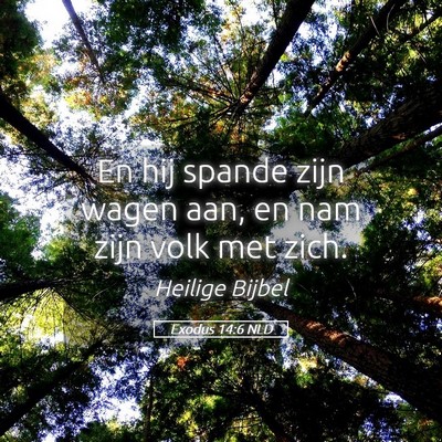 Picture 05 - Exodus 14:6 NLD - En hij spande zijn wagen aan, en nam zijn volk - Bible Verse Picture