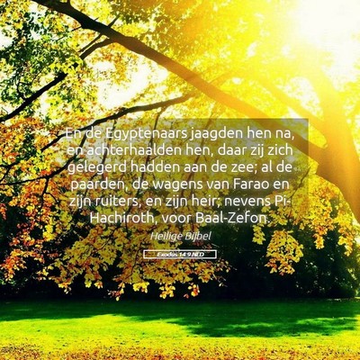 Picture 05 - Exodus 14:9 NLD - En de Egyptenaars jaagden hen na, en - Bible Verse Picture