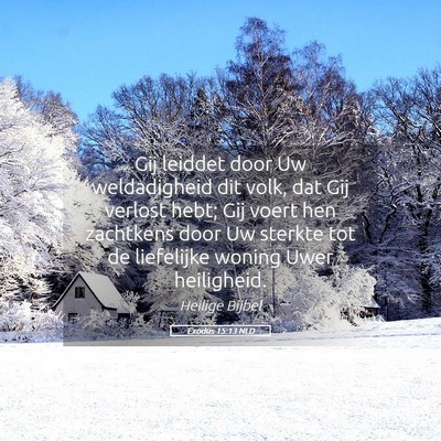 Picture 05 - Exodus 15:13 NLD - Gij leiddet door Uw weldadigheid dit volk, dat - Bible Verse Picture