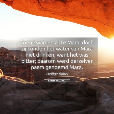 Picture 05 - Exodus 15:23 NLD - Toen kwamen zij te Mara; doch zij konden het - Bible Verse Picture