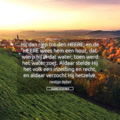 Picture 05 - Exodus 15:25 NLD - Hij dan riep tot den HEERE; en de HEERE wees hem - Bible Verse Picture