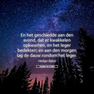 Picture 05 - Exodus 16:13 NLD - En het geschiedde aan den avond, dat er kwakkelen - Bible Verse Picture