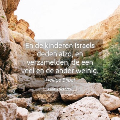 Picture 05 - Exodus 16:17 NLD - En de kinderen Israels deden alzo, en - Bible Verse Picture