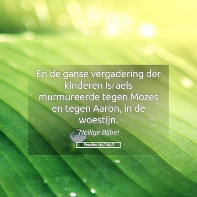 Picture 05 - Exodus 16:2 NLD - En de ganse vergadering der kinderen Israels - Bible Verse Picture