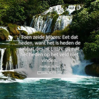 Picture 05 - Exodus 16:25 NLD - Toen zeide Mozes: Eet dat heden, want het is - Bible Verse Picture