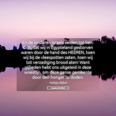 Picture 05 - Exodus 16:3 NLD - En de kinderen Israels zeiden tot hen: Och, dat - Bible Verse Picture