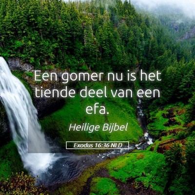 Picture 05 - Exodus 16:36 NLD - Een gomer nu is het tiende deel van een - Bible Verse Picture