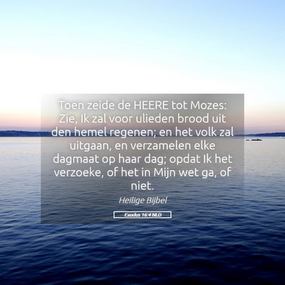 Picture 05 - Exodus 16:4 NLD - Toen zeide de HEERE tot Mozes: Zie, Ik zal voor - Bible Verse Picture