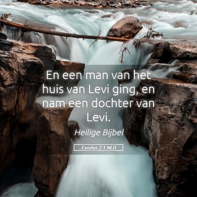 Picture 05 - Exodus 2:1 NLD - En een man van het huis van Levi ging, en nam een - Bible Verse Picture