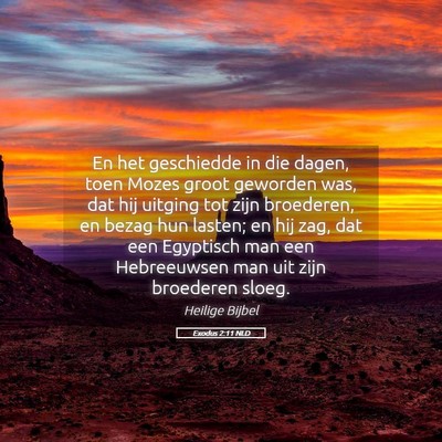Picture 05 - Exodus 2:11 NLD - En het geschiedde in die dagen, toen Mozes groot - Bible Verse Picture