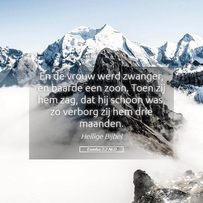 Picture 05 - Exodus 2:2 NLD - En de vrouw werd zwanger, en baarde een zoon. - Bible Verse Picture
