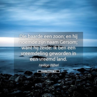 Picture 05 - Exodus 2:22 NLD - Die baarde een zoon; en hij noemde zijn naam - Bible Verse Picture