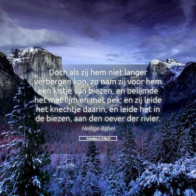 Picture 05 - Exodus 2:3 NLD - Doch als zij hem niet langer verbergen kon, zo - Bible Verse Picture