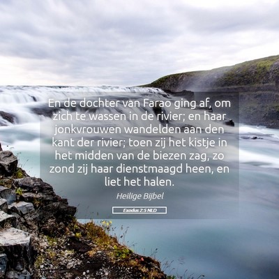 Picture 05 - Exodus 2:5 NLD - En de dochter van Farao ging af, om zich te - Bible Verse Picture