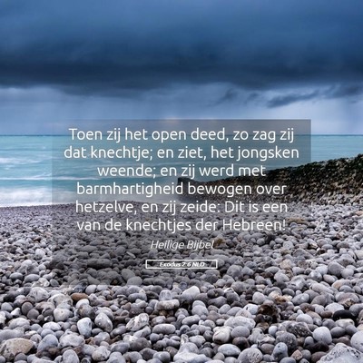 Picture 05 - Exodus 2:6 NLD - Toen zij het open deed, zo zag zij dat knechtje; - Bible Verse Picture