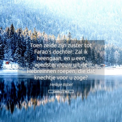 Picture 05 - Exodus 2:7 NLD - Toen zeide zijn zuster tot Farao's dochter: Zal - Bible Verse Picture