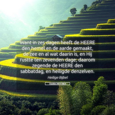 Picture 05 - Exodus 20:11 NLD - Want in zes dagen heeft de HEERE den hemel en de - Bible Verse Picture