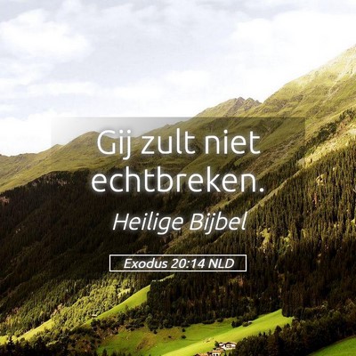 Picture 05 - Exodus 20:14 NLD - Gij zult niet - Bible Verse Picture