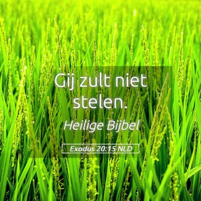 Picture 05 - Exodus 20:15 NLD - Gij zult niet - Bible Verse Picture