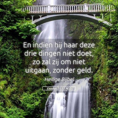 Picture 05 - Exodus 21:11 NLD - En indien hij haar deze drie dingen niet doet, zo - Bible Verse Picture