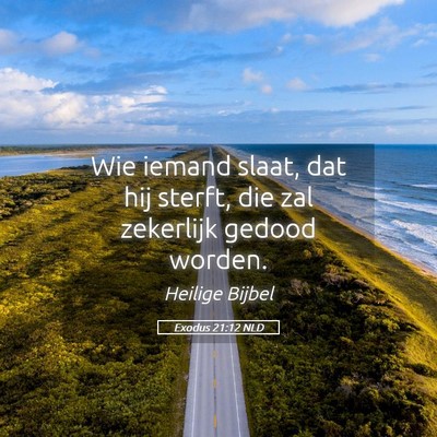 Picture 05 - Exodus 21:12 NLD - Wie iemand slaat, dat hij sterft, die zal - Bible Verse Picture