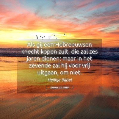 Picture 05 - Exodus 21:2 NLD - Als gij een Hebreeuwsen knecht kopen zult, die - Bible Verse Picture