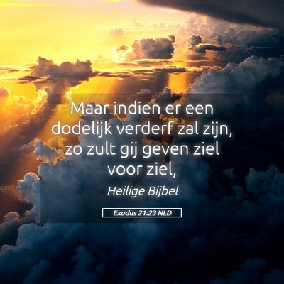 Picture 05 - Exodus 21:23 NLD - Maar indien er een dodelijk verderf zal zijn, zo - Bible Verse Picture