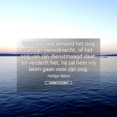 Picture 05 - Exodus 21:26 NLD - Wanneer ook iemand het oog van zijn dienstknecht, - Bible Verse Picture