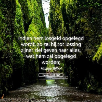 Picture 05 - Exodus 21:30 NLD - Indien hem losgeld opgelegd wordt, zo zal hij tot - Bible Verse Picture