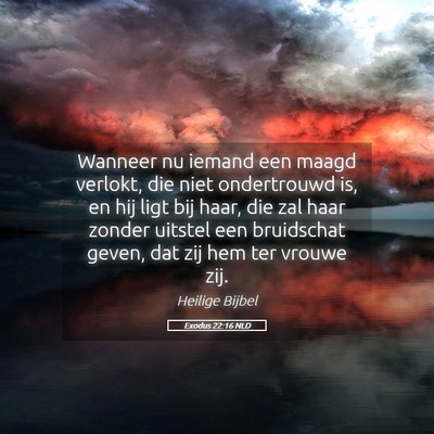 Picture 05 - Exodus 22:16 NLD - Wanneer nu iemand een maagd verlokt, die niet - Bible Verse Picture